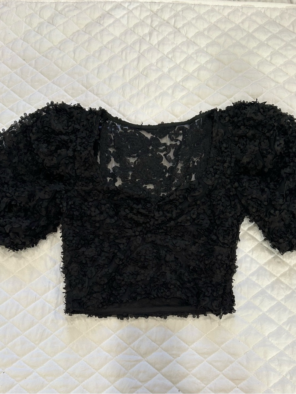 Zara Black 3D Textured Tulle Floral Applique Crop Top